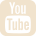 YouTube Icon