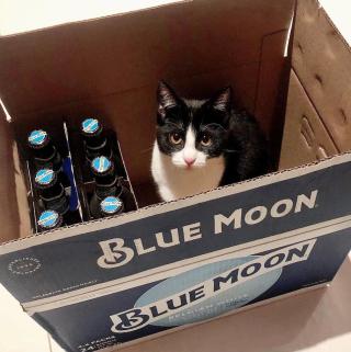 Home | Blue Moon