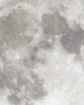 Home Blue Moon
